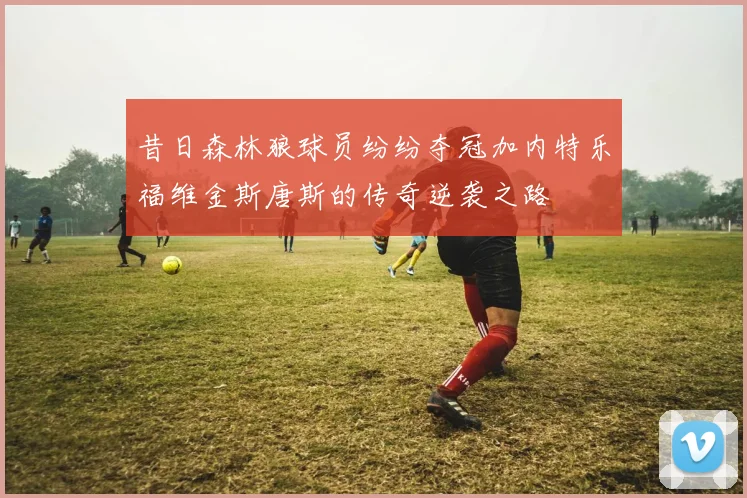 昔日森林狼球员纷纷夺冠加内特乐福维金斯唐斯的传奇逆袭之路